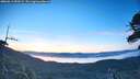 ./images/calvert/fitz-hugh-hecate/20260613/fitz-hugh-hecate20260613_050501M.jpg