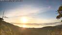 ./images/calvert/fitz-hugh-hecate/20260613/fitz-hugh-hecate20260613_060501M.jpg