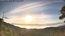 ./images/calvert/fitz-hugh-hecate/20260613/fitz-hugh-hecate20260613_063001M.jpg