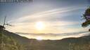 ./images/calvert/fitz-hugh-hecate/20260613/fitz-hugh-hecate20260613_063501M.jpg