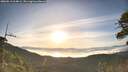 ./images/calvert/fitz-hugh-hecate/20260613/fitz-hugh-hecate20260613_064002M.jpg