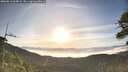 ./images/calvert/fitz-hugh-hecate/20260613/fitz-hugh-hecate20260613_065001M.jpg