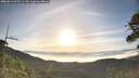 ./images/calvert/fitz-hugh-hecate/20260613/fitz-hugh-hecate20260613_065501M.jpg