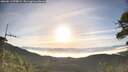 ./images/calvert/fitz-hugh-hecate/20260613/fitz-hugh-hecate20260613_070002M.jpg