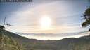 ./images/calvert/fitz-hugh-hecate/20260613/fitz-hugh-hecate20260613_071001M.jpg