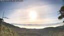 ./images/calvert/fitz-hugh-hecate/20260613/fitz-hugh-hecate20260613_071502M.jpg