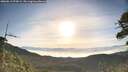 ./images/calvert/fitz-hugh-hecate/20260613/fitz-hugh-hecate20260613_072001M.jpg