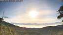 ./images/calvert/fitz-hugh-hecate/20260613/fitz-hugh-hecate20260613_072501M.jpg