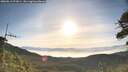 ./images/calvert/fitz-hugh-hecate/20260613/fitz-hugh-hecate20260613_073001M.jpg