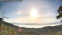 ./images/calvert/fitz-hugh-hecate/20260613/fitz-hugh-hecate20260613_073501M.jpg