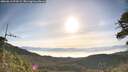 ./images/calvert/fitz-hugh-hecate/20260613/fitz-hugh-hecate20260613_074501M.jpg