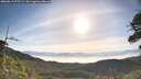 ./images/calvert/fitz-hugh-hecate/20260613/fitz-hugh-hecate20260613_075501M.jpg