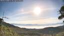 ./images/calvert/fitz-hugh-hecate/20260613/fitz-hugh-hecate20260613_080001M.jpg
