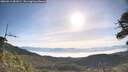 ./images/calvert/fitz-hugh-hecate/20260613/fitz-hugh-hecate20260613_081001M.jpg