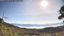 ./images/calvert/fitz-hugh-hecate/20260613/fitz-hugh-hecate20260613_091001M.jpg