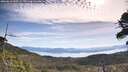 ./images/calvert/fitz-hugh-hecate/20260613/fitz-hugh-hecate20260613_100501M.jpg