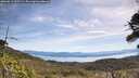 ./images/calvert/fitz-hugh-hecate/20260613/fitz-hugh-hecate20260613_105501M.jpg