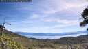 ./images/calvert/fitz-hugh-hecate/20260613/fitz-hugh-hecate20260613_111001M.jpg