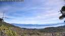 ./images/calvert/fitz-hugh-hecate/20260613/fitz-hugh-hecate20260613_112501M.jpg