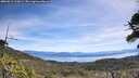 ./images/calvert/fitz-hugh-hecate/20260613/fitz-hugh-hecate20260613_113001M.jpg