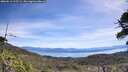./images/calvert/fitz-hugh-hecate/20260613/fitz-hugh-hecate20260613_113501M.jpg
