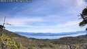./images/calvert/fitz-hugh-hecate/20260613/fitz-hugh-hecate20260613_114001M.jpg
