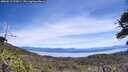 ./images/calvert/fitz-hugh-hecate/20260613/fitz-hugh-hecate20260613_122001M.jpg