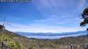 ./images/calvert/fitz-hugh-hecate/20260613/fitz-hugh-hecate20260613_133001M.jpg