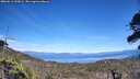 ./images/calvert/fitz-hugh-hecate/20260613/fitz-hugh-hecate20260613_153001M.jpg