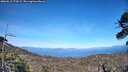 ./images/calvert/fitz-hugh-hecate/20260613/fitz-hugh-hecate20260613_174502M.jpg