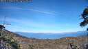 ./images/calvert/fitz-hugh-hecate/20260613/fitz-hugh-hecate20260613_180501M.jpg