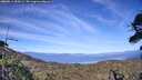 ./images/calvert/fitz-hugh-hecate/20260613/fitz-hugh-hecate20260613_184501M.jpg