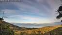 ./images/calvert/fitz-hugh-hecate/20260613/fitz-hugh-hecate20260613_204502M.jpg