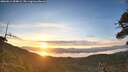 ./images/calvert/fitz-hugh-hecate/20260614/fitz-hugh-hecate20260614_054001M.jpg