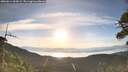 ./images/calvert/fitz-hugh-hecate/20260614/fitz-hugh-hecate20260614_065002M.jpg