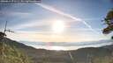 ./images/calvert/fitz-hugh-hecate/20260614/fitz-hugh-hecate20260614_071501M.jpg