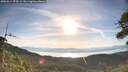 ./images/calvert/fitz-hugh-hecate/20260614/fitz-hugh-hecate20260614_073501M.jpg