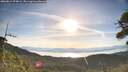 ./images/calvert/fitz-hugh-hecate/20260614/fitz-hugh-hecate20260614_074001M.jpg