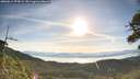 ./images/calvert/fitz-hugh-hecate/20260614/fitz-hugh-hecate20260614_075001M.jpg