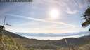 ./images/calvert/fitz-hugh-hecate/20260614/fitz-hugh-hecate20260614_081001M.jpg