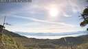 ./images/calvert/fitz-hugh-hecate/20260614/fitz-hugh-hecate20260614_081501M.jpg
