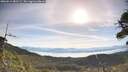 ./images/calvert/fitz-hugh-hecate/20260614/fitz-hugh-hecate20260614_082501M.jpg