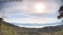 ./images/calvert/fitz-hugh-hecate/20260614/fitz-hugh-hecate20260614_083001M.jpg