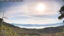 ./images/calvert/fitz-hugh-hecate/20260614/fitz-hugh-hecate20260614_083501M.jpg