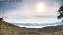 ./images/calvert/fitz-hugh-hecate/20260614/fitz-hugh-hecate20260614_084001M.jpg
