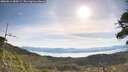 ./images/calvert/fitz-hugh-hecate/20260614/fitz-hugh-hecate20260614_084501M.jpg