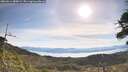 ./images/calvert/fitz-hugh-hecate/20260614/fitz-hugh-hecate20260614_085001M.jpg