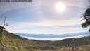 ./images/calvert/fitz-hugh-hecate/20260614/fitz-hugh-hecate20260614_085501M.jpg