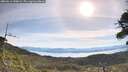 ./images/calvert/fitz-hugh-hecate/20260614/fitz-hugh-hecate20260614_090001M.jpg