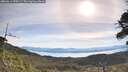 ./images/calvert/fitz-hugh-hecate/20260614/fitz-hugh-hecate20260614_090501M.jpg